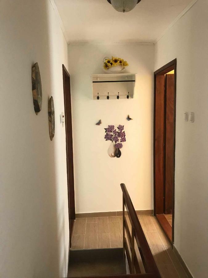 Apartma Evi Zaga 外观 照片