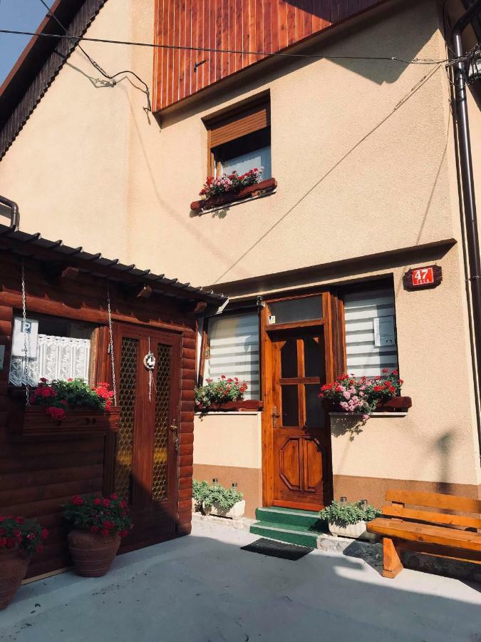 Apartma Evi Zaga 外观 照片